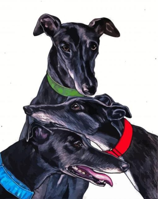 Black Greyhounds Dogs Paint By Numbers