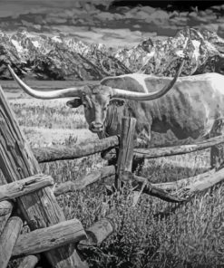 Black And White Longhorn In Farm Paint By Numbers