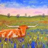 Bluebonnets And Longhorn Paint By Numbers