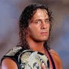 Bret Hart Hitman Paint By Numbers