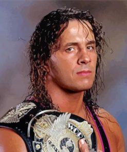 Bret Hart Hitman Paint By Numbers