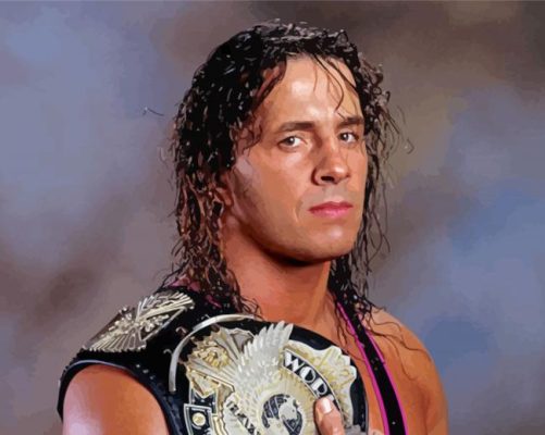 Bret Hart Hitman Paint By Numbers