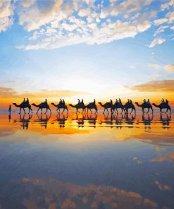 Camels Broome Sunset Paint By Numbers