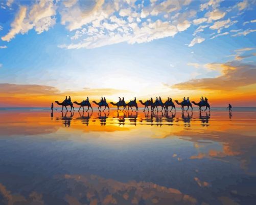 Camels Broome Sunset Paint By Numbers