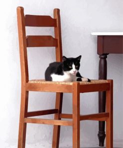 Cat On Chair Paint By Numbers