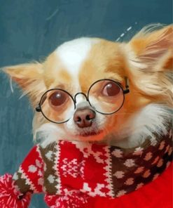 Chihuahua Dog With Glasses Paint By Numbers