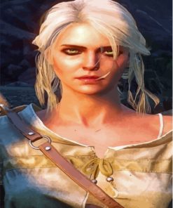 Cirilla The Witcher Serie Paint By Numbers