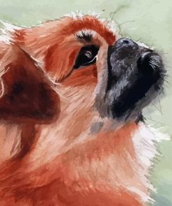 Close Up Pekingese Art Paint By Numbers