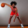 Coby White Chicago Bulls Paint By Numbers