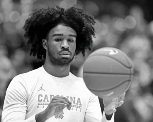 Coby White In Black And White Paint By Numbers