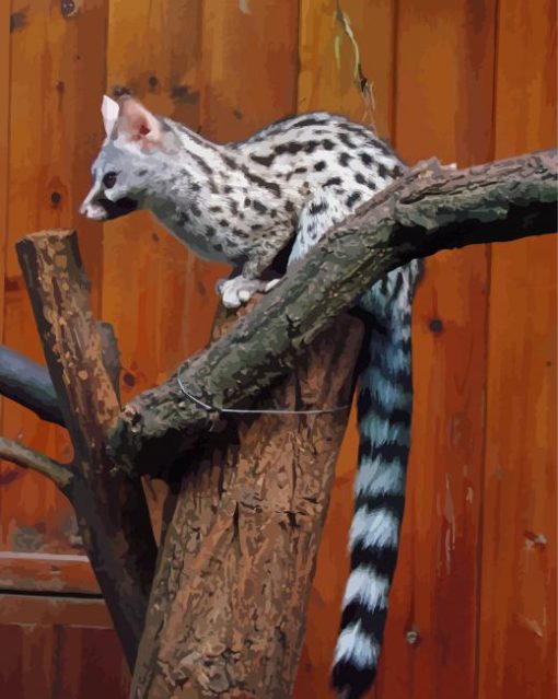 Common Genet Paint By Numbers