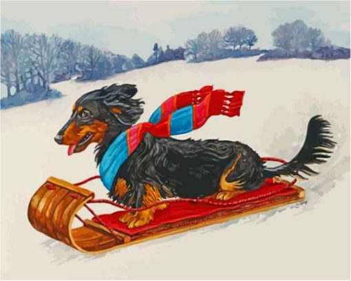 Dachshund Dog Skiing In Snow Paint By Numbers