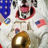 Dalmatian Dog Astronaut Paint By Numbers