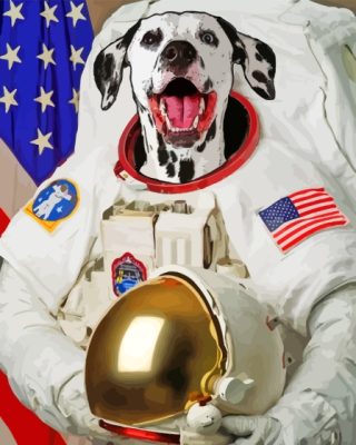 Dalmatian Dog Astronaut Paint By Numbers