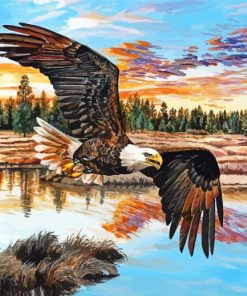 Eagle Flying Over The River Art Paint By Numbers