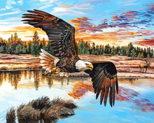 Eagle Flying Over The River Art Paint By Numbers