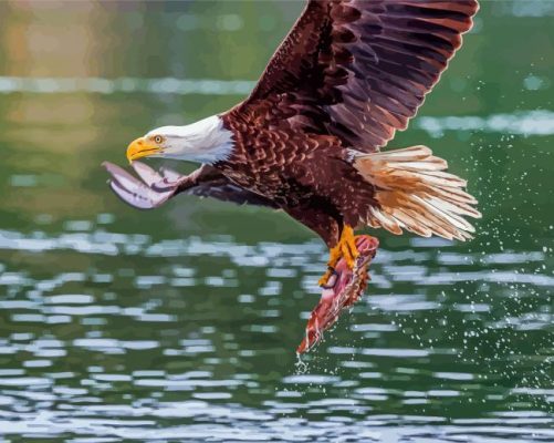 Eagle On The River With Salmon Paint By Numbers