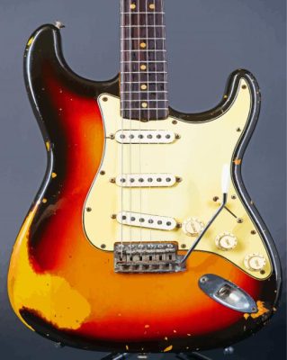 Fender Stratocaster Electric Guitar Paint By Numbers