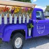 Flowers In Purple Truck Paint By Numbers