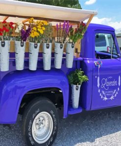 Flowers In Purple Truck Paint By Numbers