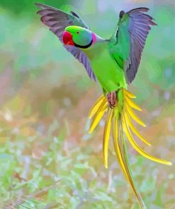 Flying Alexandrine Parakeet Paint By Numbers