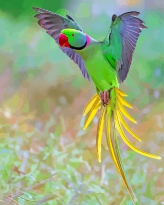 Flying Alexandrine Parakeet Paint By Numbers