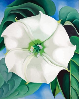 Georgia Okeefe White Flower Paint By Numbers