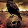 Gothic Crow And Skull Paint By Numbers