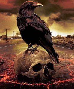 Gothic Crow And Skull Paint By Numbers