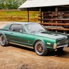 Green Mercury Cougar Paint By Numbers