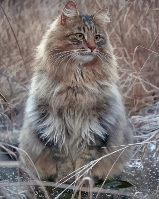 Grey Ragdoll Cat Paint By Numbers