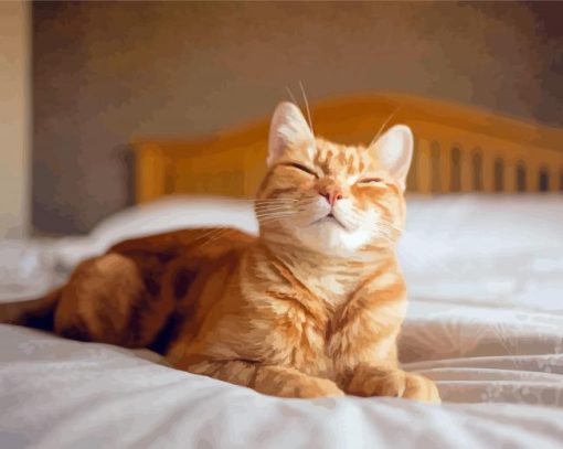 Happy Cat On Bed Paint By Numbers