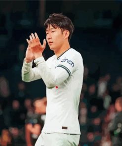 Heung Min Son Football Player Paint By Numbers