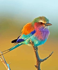 Lilac Breasted Roller Paint By Numbers