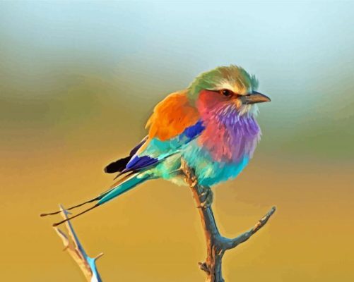 Lilac Breasted Roller Paint By Numbers