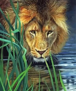 Lion In The Grass Paint By Numbers