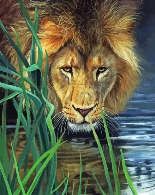 Lion In The Grass Paint By Numbers