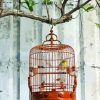 Lonely Caged Bird Paint By Numbers