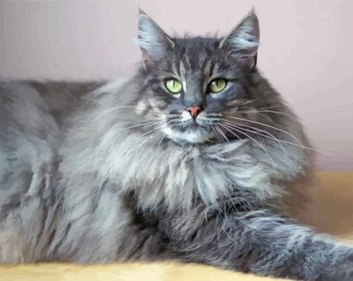 Long Hair Grey Cat Paint By Numbers