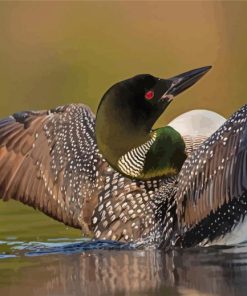 Loons On Lake Paint By Numbers