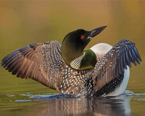 Loons On Lake Paint By Numbers