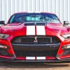 Mustang Shelby Gt500 Red Car Paint By Numbers