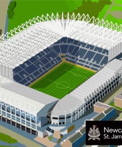 Newcastle Football Stadium Paint By Numbers