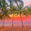 Palms Trees Aruba Beach At Sunset Paint By Numbers