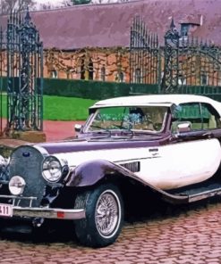 Panther Deville Classic Vehicle Paint By Numbers