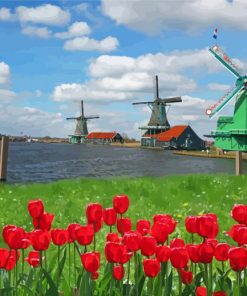 Red Tulips Zaanse Schans Paint By Numbers