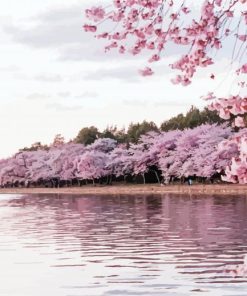 River Pink Trees Paint By Numbers