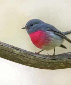 Rose Robin Bird On Branch Paint By Numbers