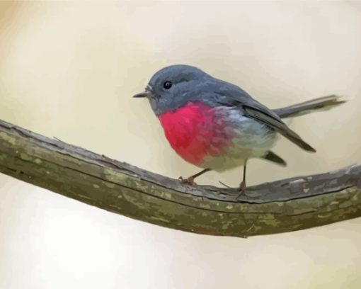 Rose Robin Bird On Branch Paint By Numbers