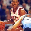 Scottie Pippen Paint By Numbers